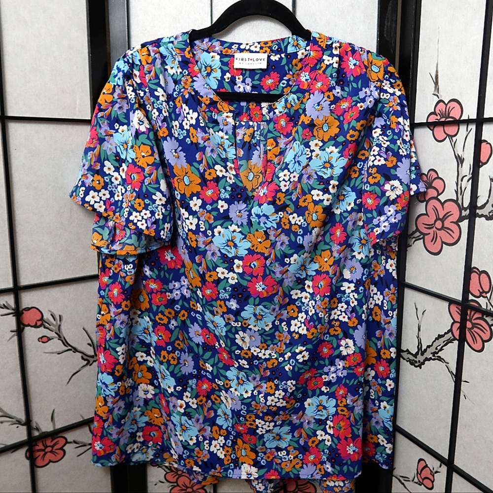 First Love Floral Blouse Ruffle Short Sleeves - Blue and Pink Size Medium